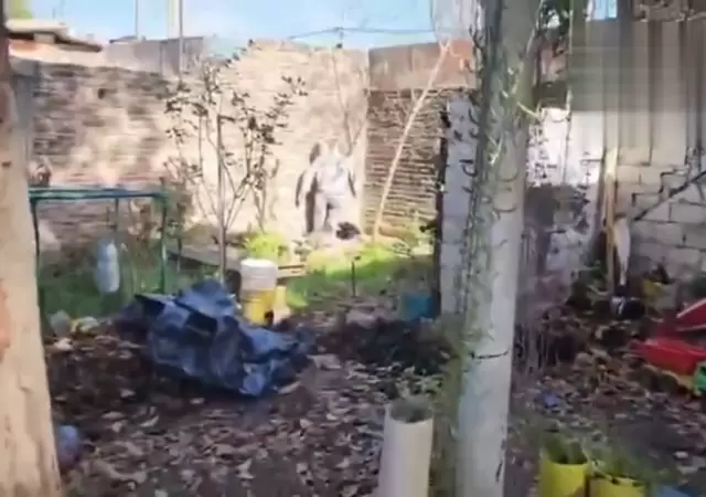 En las im�genes puede verse el patio de la vivienda en un estado de total abandono. /