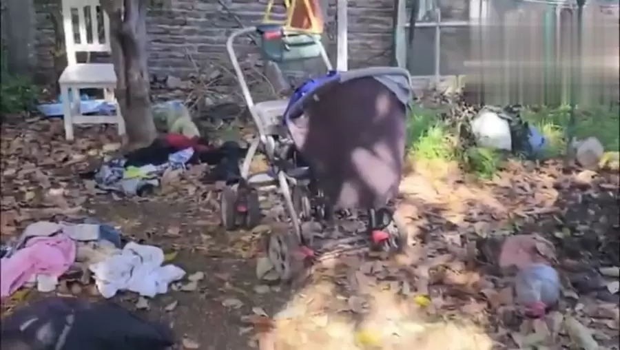 captura de video