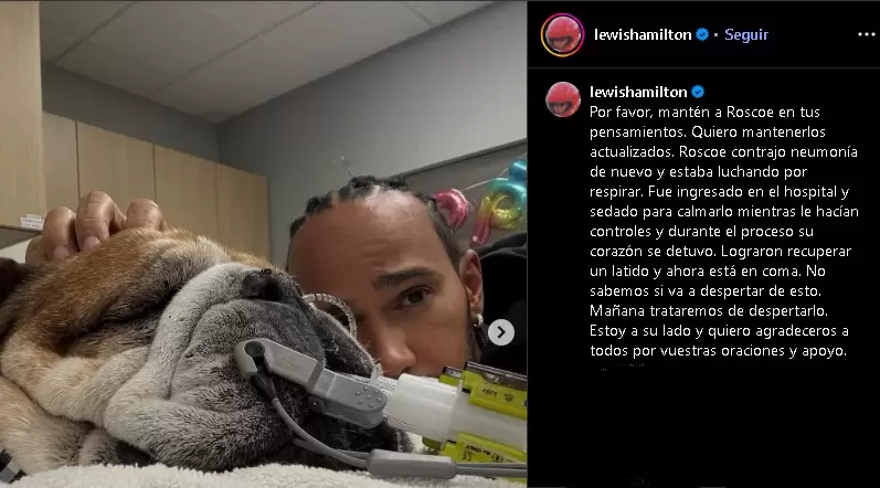 El posteo de Hamilton.