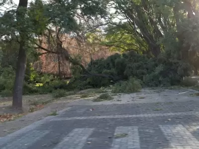 Las violentas r�fagas tomaron por sorpresa a casi toda la provincia cuyana.