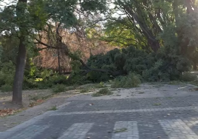 Las violentas r�fagas tomaron por sorpresa a casi toda la provincia cuyana.