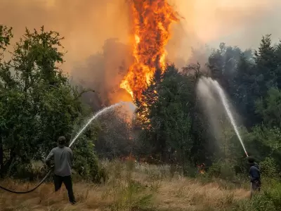 Alerta por incendios forestales.