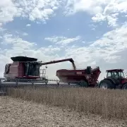 El agro argentino rompe r�cords: liquidaci�n hist�rica de US$ 7.100 millones en septiembre