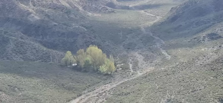 Potrerillos