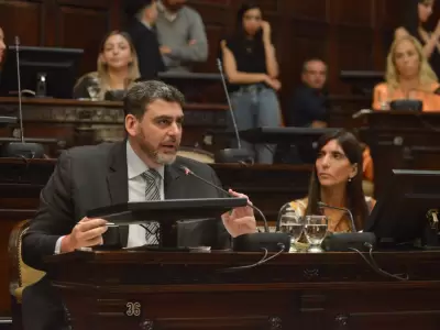 Mart�n Kerchner en su banca del Senado