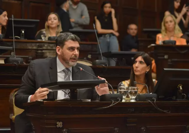 Mart�n Kerchner en su banca del Senado