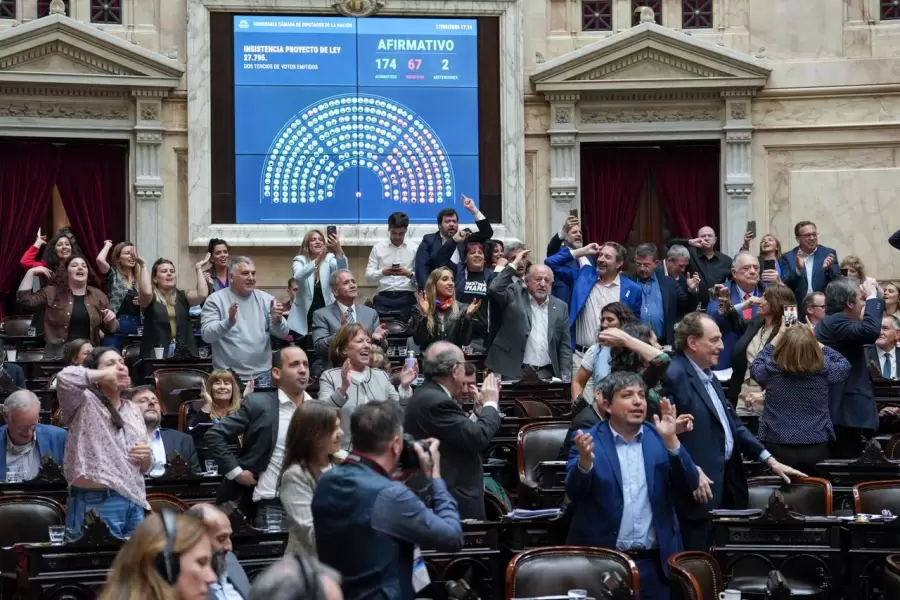 Diputados rechaz� los vetos al financiamiento universitario y de emergencia del Garrahan, y hoy se trata en el Senado. (Imagen: web)