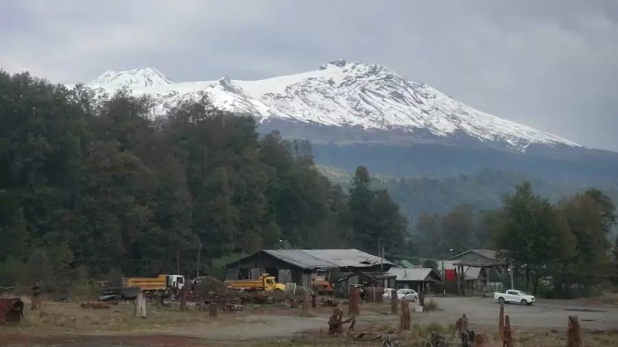 Complejo Forestal y Maderero Panguipulli, donde ocurri� la redada con la que secuestraron a Vera y sus compa�eros.