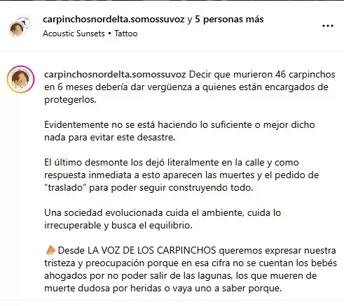Desde La voz de los carpinchos denunciaron que murieron 46 carpinchos en los �ltimos 6 meses/ Fuente: Instagram