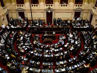 La oposici�n proyecta aprobar una ley que acote el uso de DNUs y, al mismo tiempo, impulsar� la remoci�n de Espert.