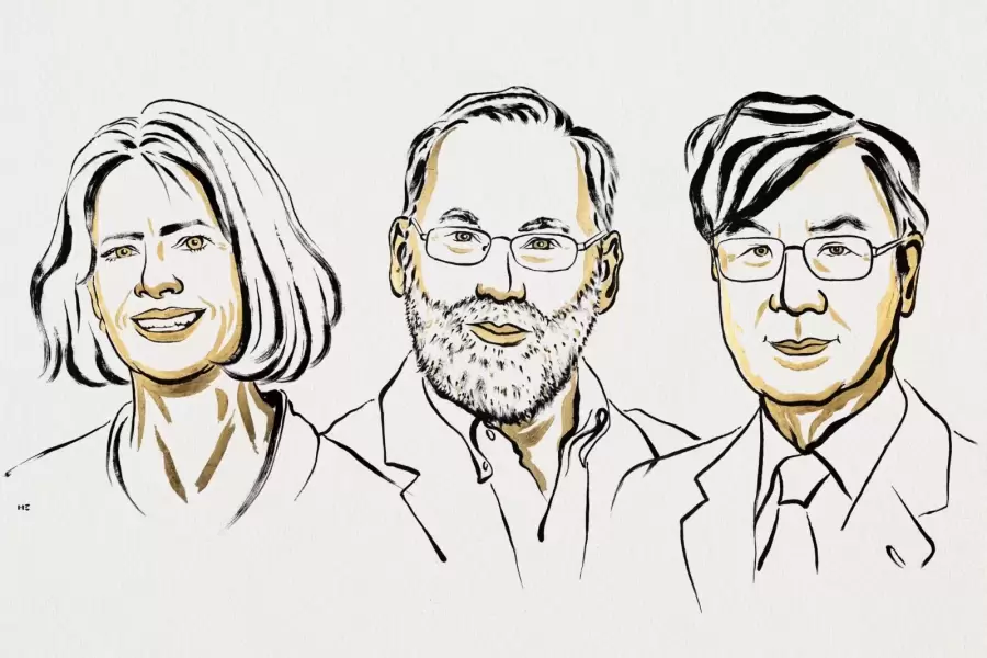 Mary E. Brunkow, Fred Ramsdell y Shimon Sakaguchi