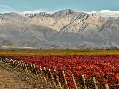 �Vinexpo Explorer es un �xito de negocios! Las bodegas han invertido mucho menos y van a lograr posicionarse con alrededor de 80 compradores globales.
