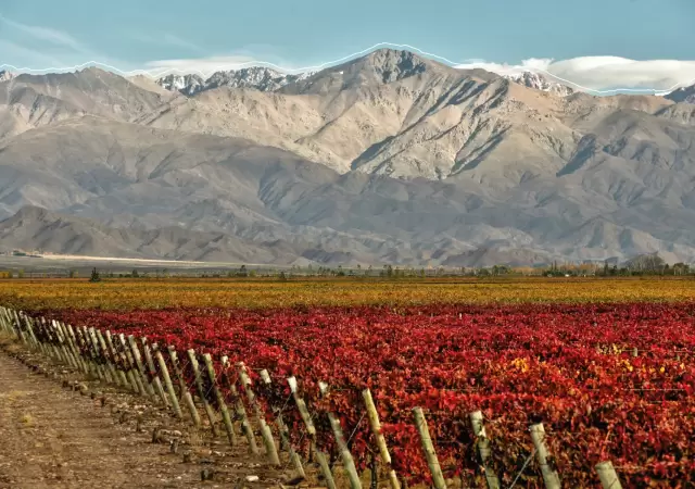 �Vinexpo Explorer es un �xito de negocios! Las bodegas han invertido mucho menos y van a lograr posicionarse con alrededor de 80 compradores globales.