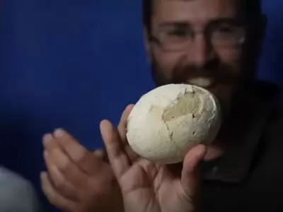 "Si hay uno de esos restos, puede que haya muchos m�s ah�" (G. Lo Coco).