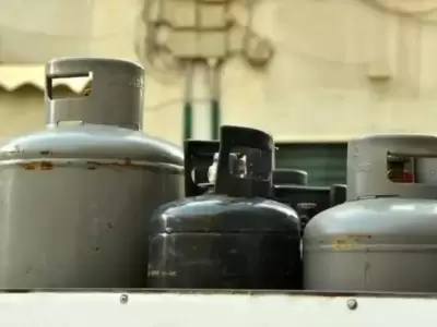 Este jueves 9 de octubre, cobran las terminaciones 1 y 2 del Programa Hogar 2025.