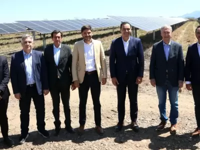 Gobernadores van por una alternativa