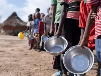 "S�lo en el �ltimo a�o, las guerras provocaron 20 crisis alimentarias en todo el mundo, que afectaron a casi 140 millones de personas".