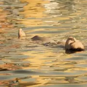 Las "Termas del General", a solo 2 horas de CABA y para un relax total