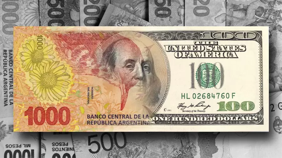 Se podr�a volver al bimonetarismo