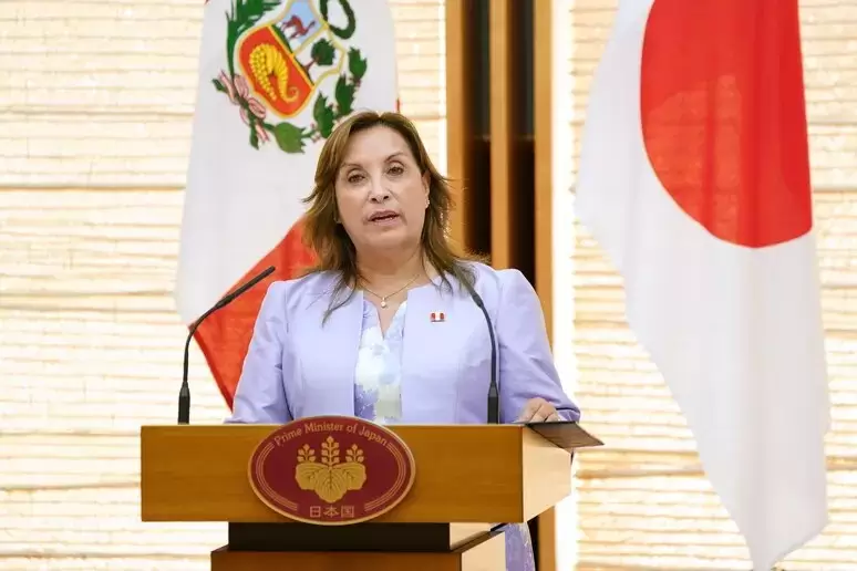 Exmandataria Dina Boluarte
