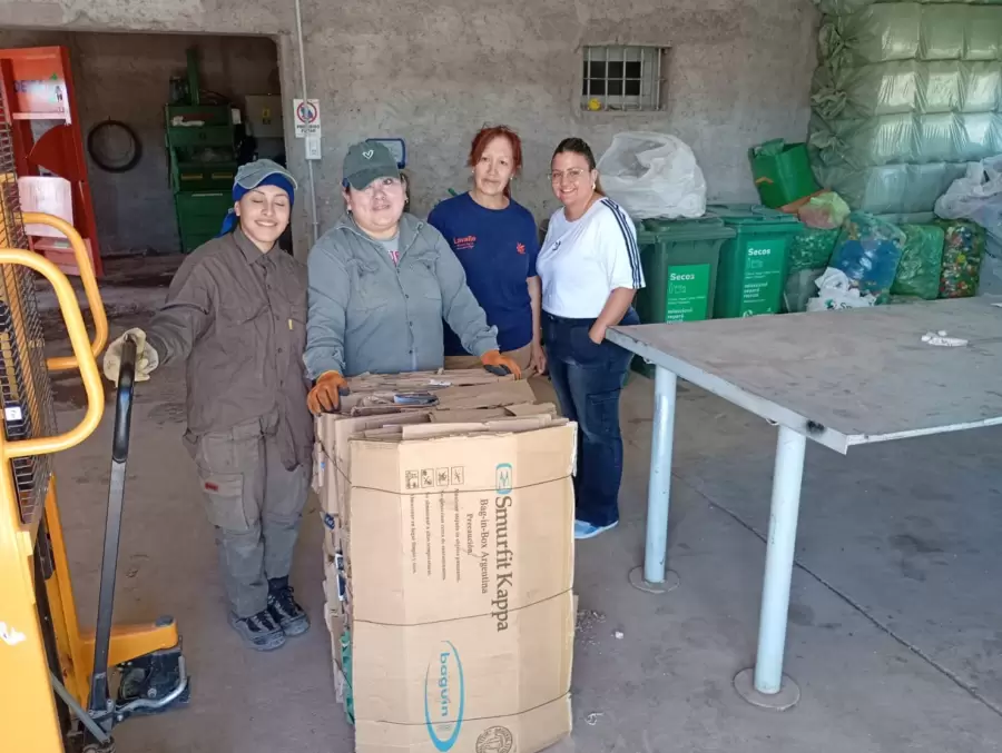Tratamiento y selecci�n