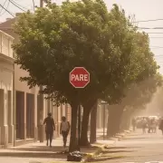 Alerta Zonda en Mendoza: Se espera un martes ventoso con r�fagas que superar�an los 60 km/h