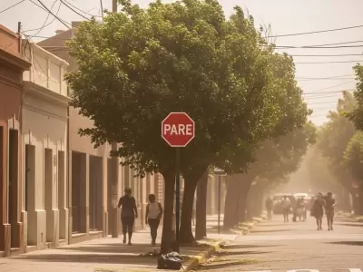 Se espera viento fuerte para el Sur provincial.