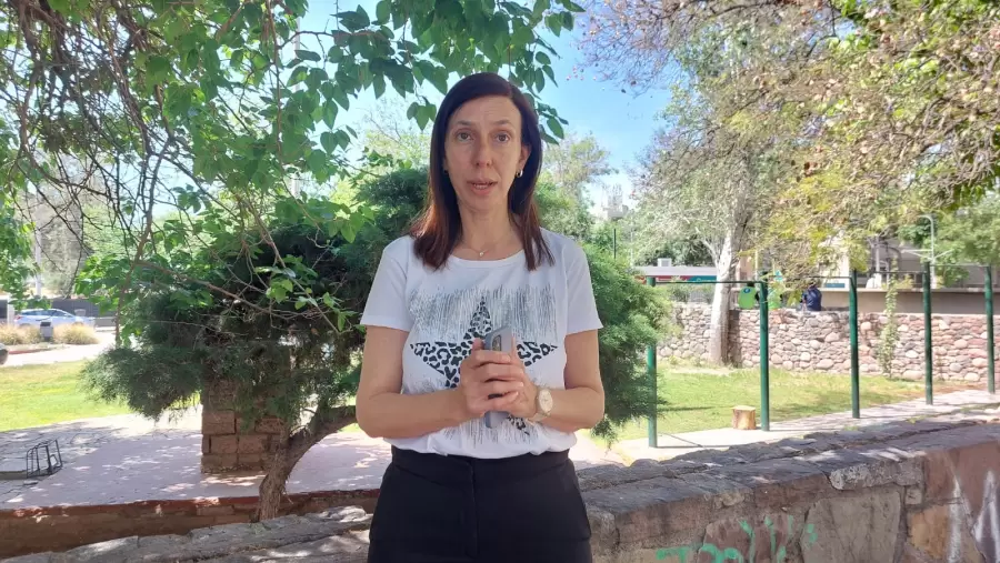 Mar�a Lourdes Gabrielli, coordinadora regional de Ser Fiscal.
