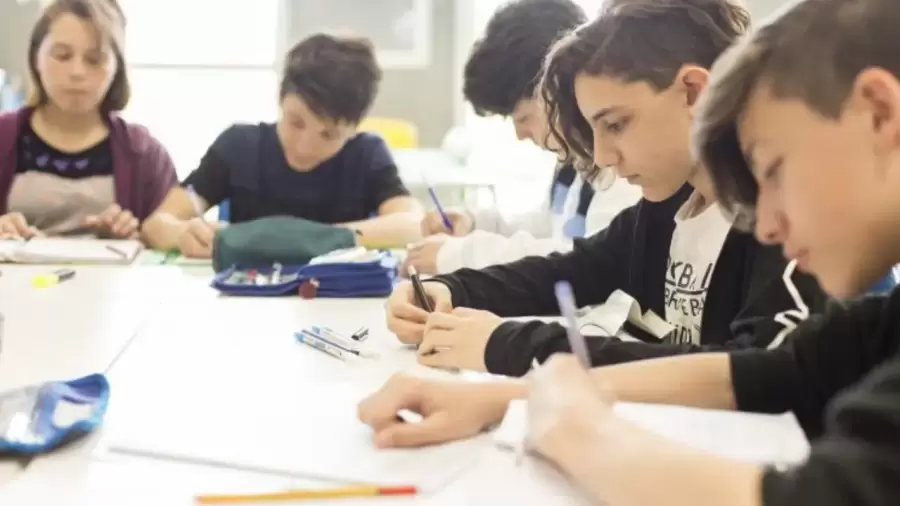 Muchos estudiantes tienen la sensaci�n de haber sufrido un "fraude educativo".