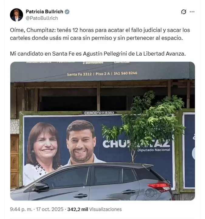 Patricia Bullrich inst� a Gabriel Chumpitaz para que retire carteles con su imagen/ Fuente: X