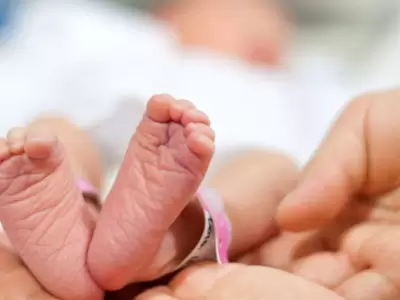 Uno de los factores de la ca�da en la natalidad se basa en una disminuci�n del embarazo adolescente en diversos sectores socioecon�micos.