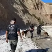 Rastrillajes, drones y perros: c�mo sigue la b�squeda de lo pareja desaparecida en Chubut