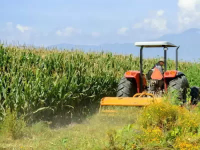 "La inversi�n est� paralizada en el campo. Necesitamos tener perspectiva de futuro y seguridad de que no tendremos un desorden econ�mico".