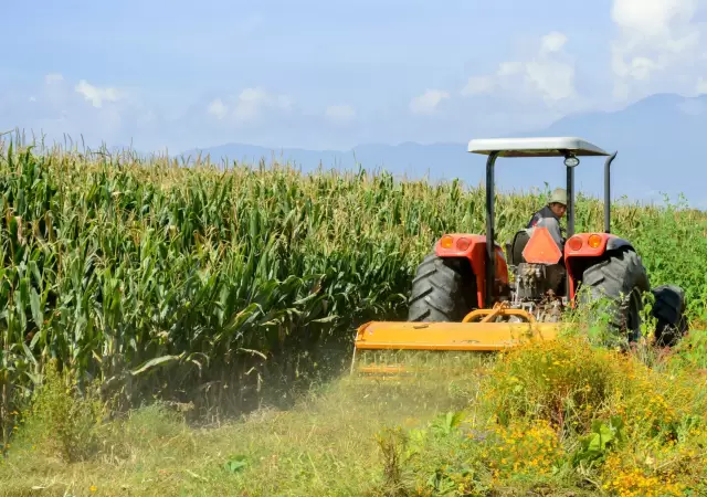 "La inversi�n est� paralizada en el campo. Necesitamos tener perspectiva de futuro y seguridad de que no tendremos un desorden econ�mico".