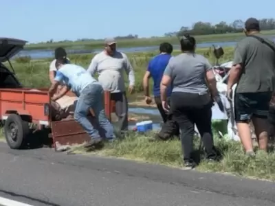 El veh�culo, que transportaba animales vivos, perdi� el control tras morder la banquina y termin� volcado.