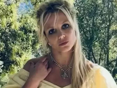Britney Spears confes� haber sufrido da�o cerebral en un posteo que luego elimin�.