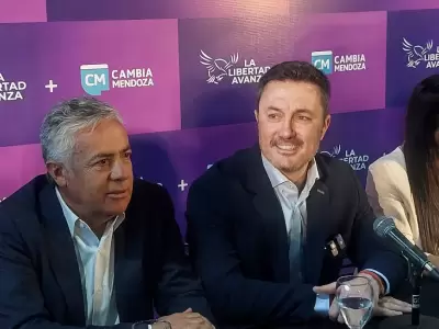 Luis Petri respondi� sobre la salida del canciller y adelant� que el Presidente realizar� nuevas modificaciones en el Gabinete. /