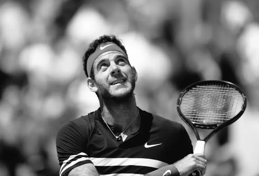 Juan Mart�n del Potro.