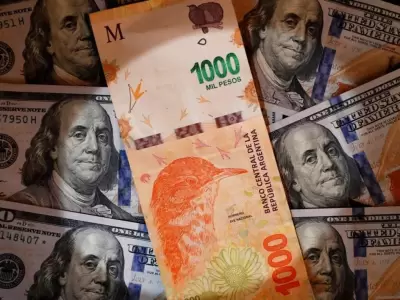 La reacci�n del mercado tras el triunfo de La Libertad Avanza: alivio, subas y oportunidades.