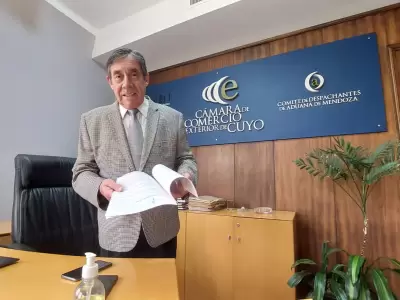 Mario Bustos Carra, gerente general de la C�mara de Comercio Exterior de Cuyo, Mario Bustos Carra