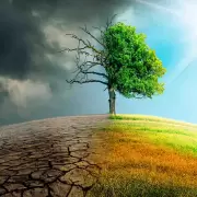 La Termodin�mica del Caos: expertos alertan sobre la "alteraci�n sist�mica" del clima
