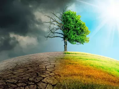"El planeta, como sistema, es energ�a. Y esa energ�a que est� acumulando se va transformando" (S. Melchor)