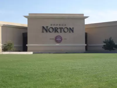 Bodegas Norton en problemas graves