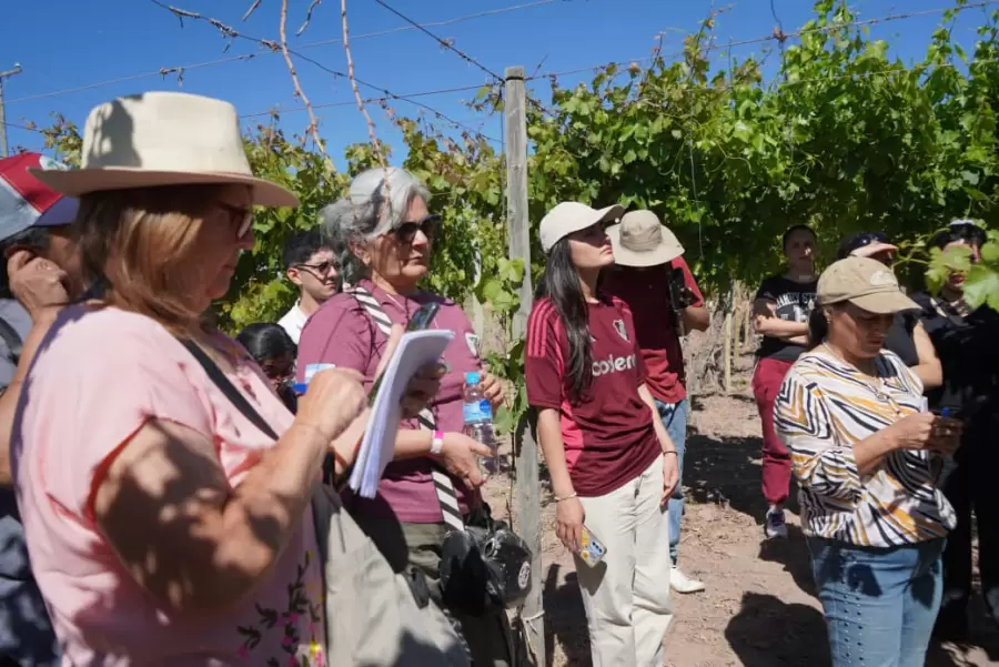 La 8va edici�n del Seminario Latinoamericano de Vino Casero y Artesanal reuni� a expertos y productores locales e internacionales