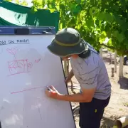 Lavalle impulsa el vino casero como una nueva oportunidad de desarrollo econ�mico para sus familias