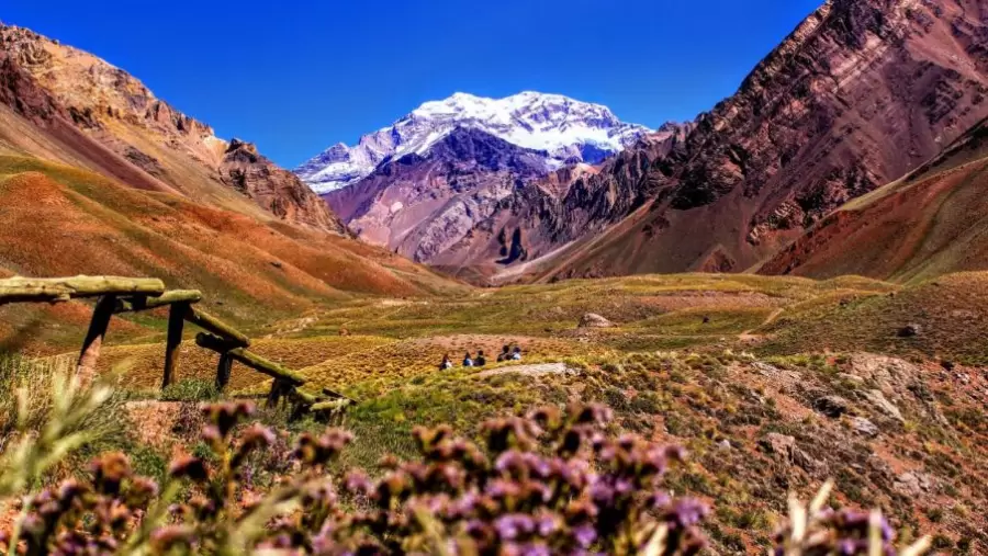 A los visitantes no argentinos se les exigir� contar con seguro de vida.