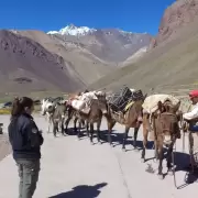 El Aconcagua abre sus puertas con controles y nuevas exigencias de seguridad