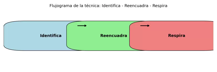 flowchart (1)