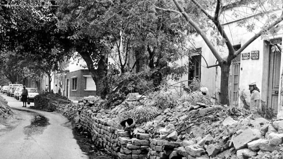 El d�a despu�s del 26 de enero de 1985. Una Mendoza arrasada por el terremoto, pero con el coraz�n abierto para ser solidario.