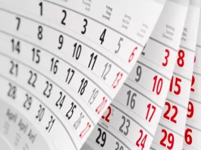 Feriado de noviembre/ Fuente: Web